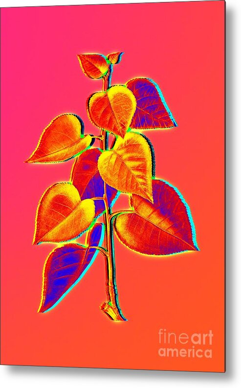 Neon Metal Print featuring the painting Neon Pink Quaking Aspen Botanical Art n.0326 by Holy Rock Design
