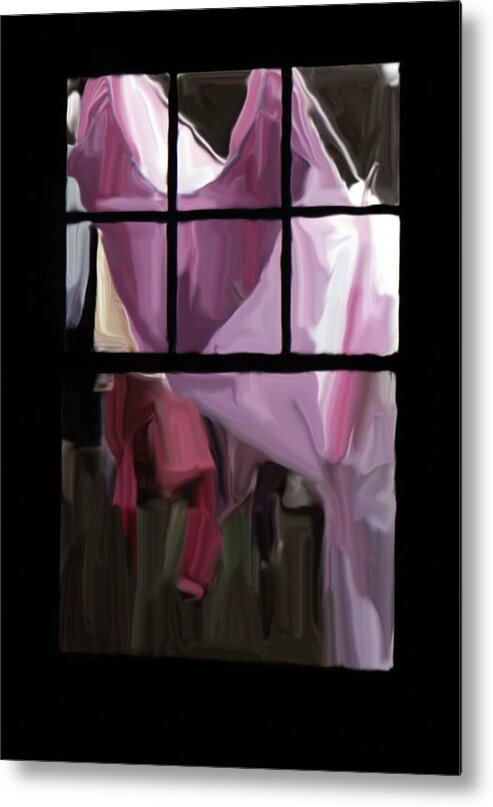 Clothesline Metal Print featuring the photograph Painted Washline Through a Window by Wayne King