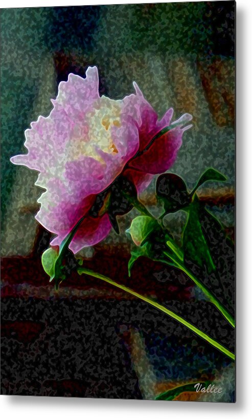 Flower Metal Print featuring the digital art Queen Peony by Vallee Johnson