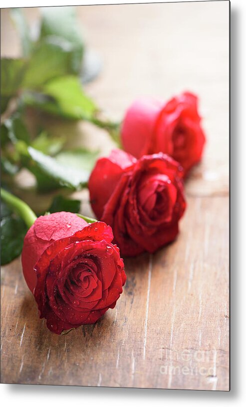 Roses Metal Print featuring the photograph Red valentines roses closeup by Jelena Jovanovic