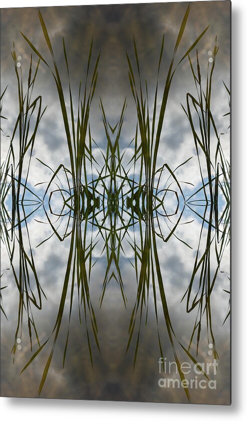 Reed Metal Print featuring the digital art Reed leaves, water and symmetry 2 by Adriana Mueller