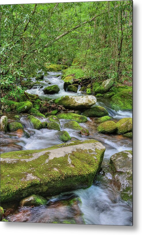 Stream Metal Print featuring the photograph Roaring Fork by Randall Dill