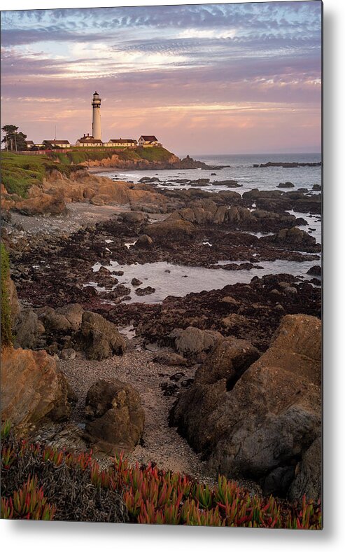 Landscape Metal Print featuring the photograph Rocks at Pigeon Point by Laura Macky