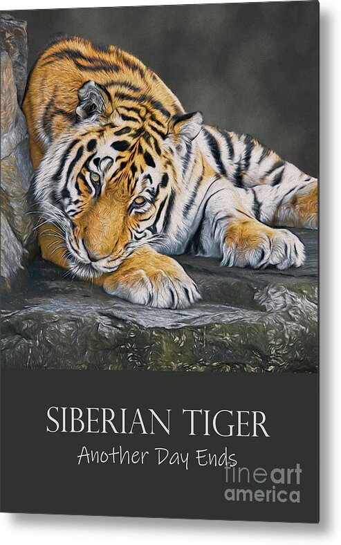 Tiger Metal Print featuring the digital art Siberian Tiger - Another Day Ends by Philip Preston