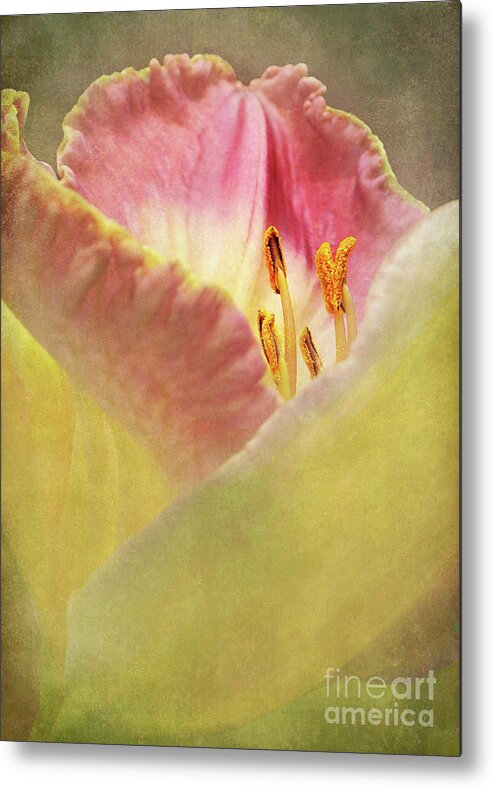 Pink Lily Metal Print featuring the photograph Sneak Peak by Kathi Mirto
