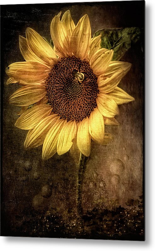Sunflower Metal Print featuring the digital art Sunflower by Maggy Pease