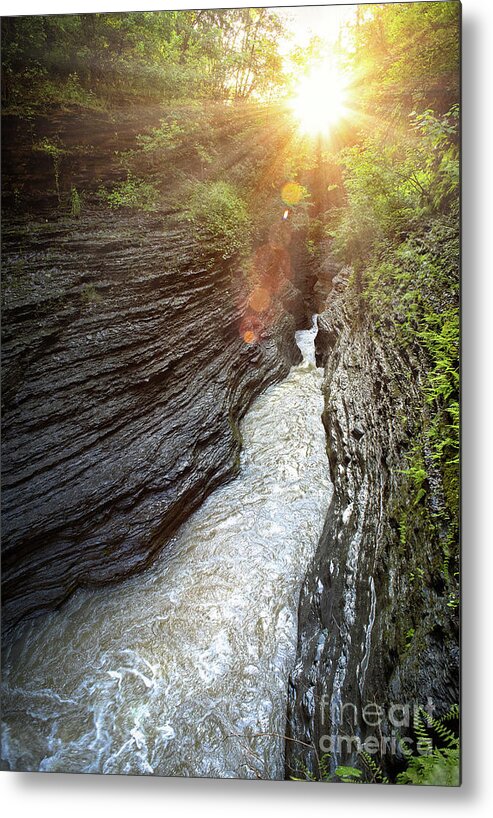 Sunrise Metal Print featuring the photograph Sunrise in the Gorge by Rehna George