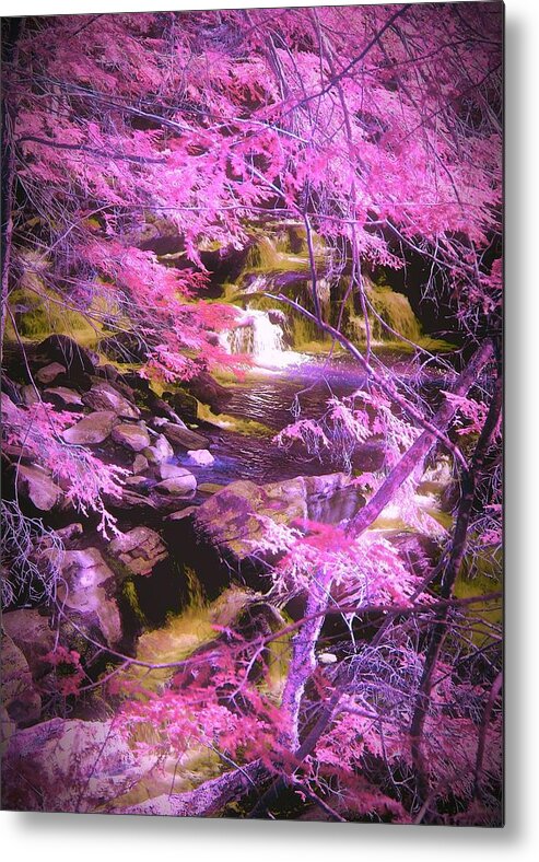 Beautiful Metal Print featuring the photograph Take me there by Nicole March