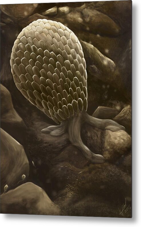 Protozoa Metal Print featuring the digital art Testate Amoeba by Kate Solbakk