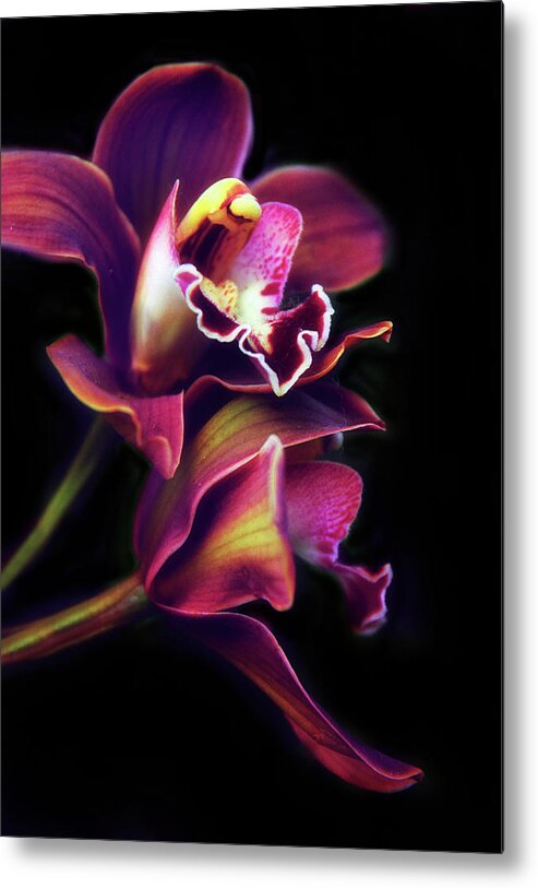 Orchids Metal Print featuring the photograph The Painted Orchid by Jessica Jenney