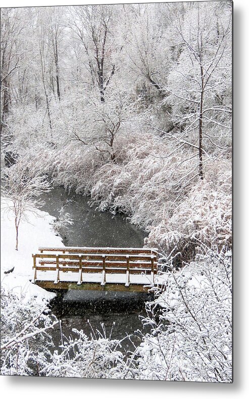 Town Brook Metal Print featuring the photograph Town Brook in January by Janice Drew