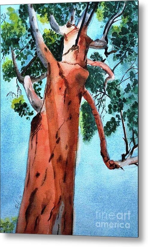 Gumtree Metal Print featuring the painting Up a Gum Tree by Vicki B Littell