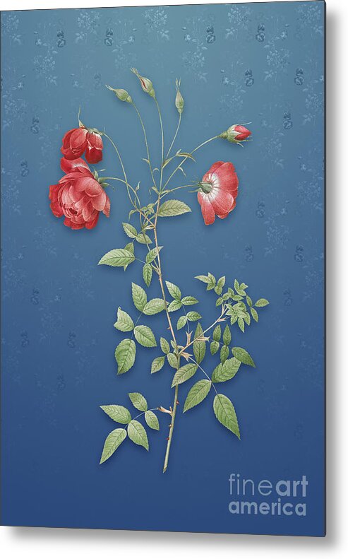 Vintage Metal Print featuring the mixed media Vintage Red Rose Botanical Art on Bahama Blue Pattern n.1408 by Holy Rock Design