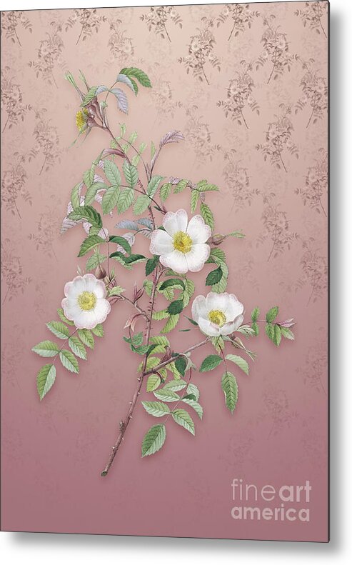 Vintage Metal Print featuring the mixed media Vintage Reddish Rosebush Botanical Art on Dusty Pink Pattern n.3722 by Holy Rock Design