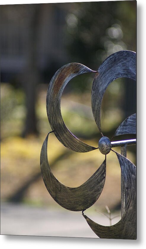  Metal Print featuring the photograph Whirligig by Heather E Harman