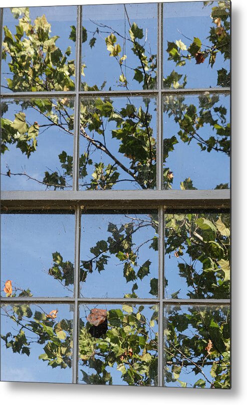 Window Metal Print featuring the photograph Window Time by Tony Locke