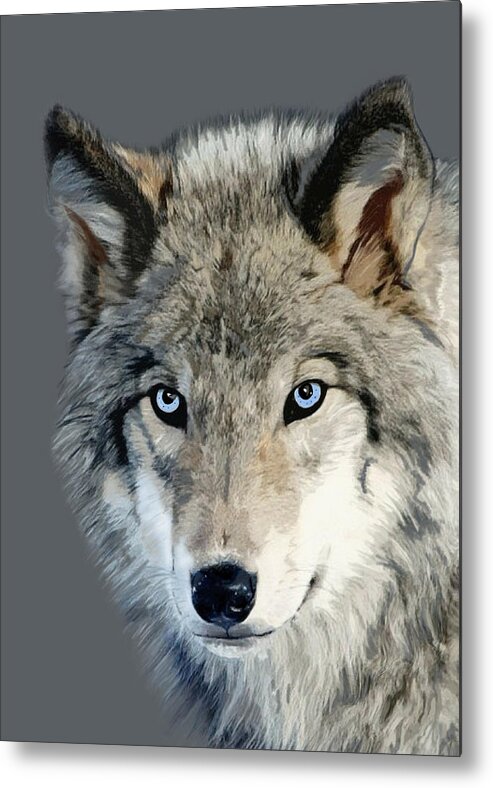 Nature Metal Print featuring the mixed media Wolf by Judy Link Cuddehe