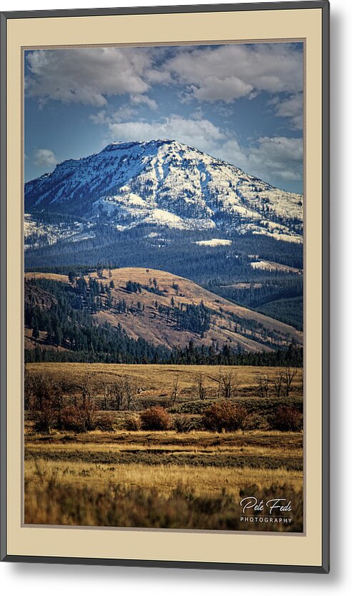 Elk Metal Print featuring the photograph Yellowstone by Pete Federico