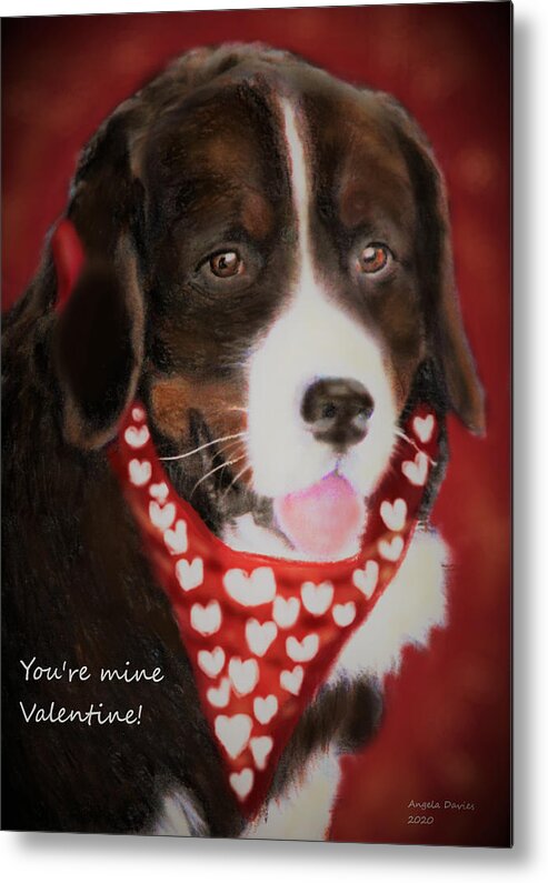 Burmese Mountain Dog Metal Print featuring the drawing You're Mine Valentine by Angela Davies
