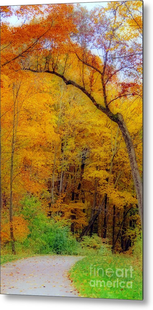 Autumn Metal Print featuring the photograph Autumn Peak Colors by Kay Novy