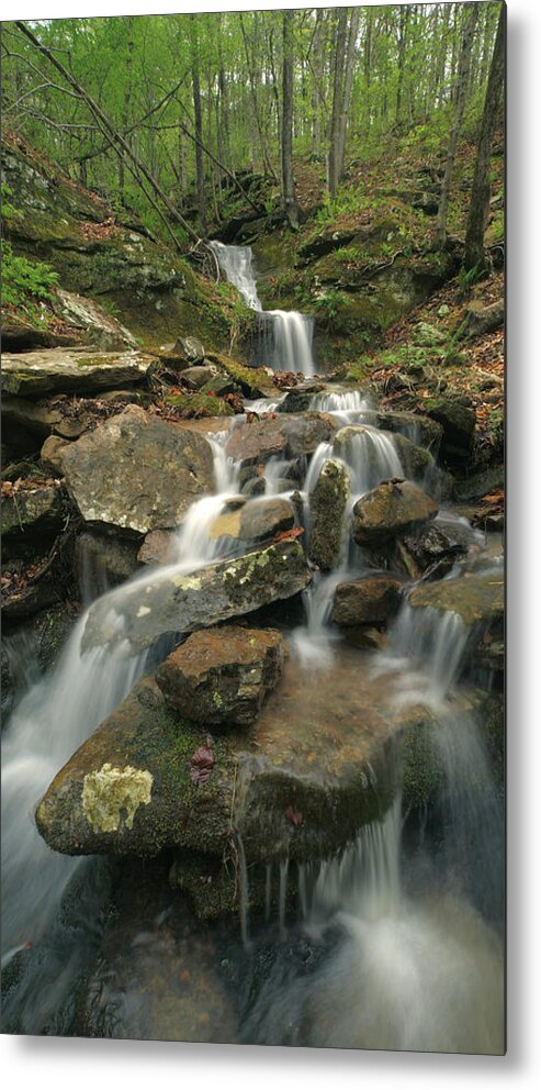 Tim Fitzharris Metal Print featuring the photograph Cascading Creek Mulberry River Arkansas by Tim Fitzharris
