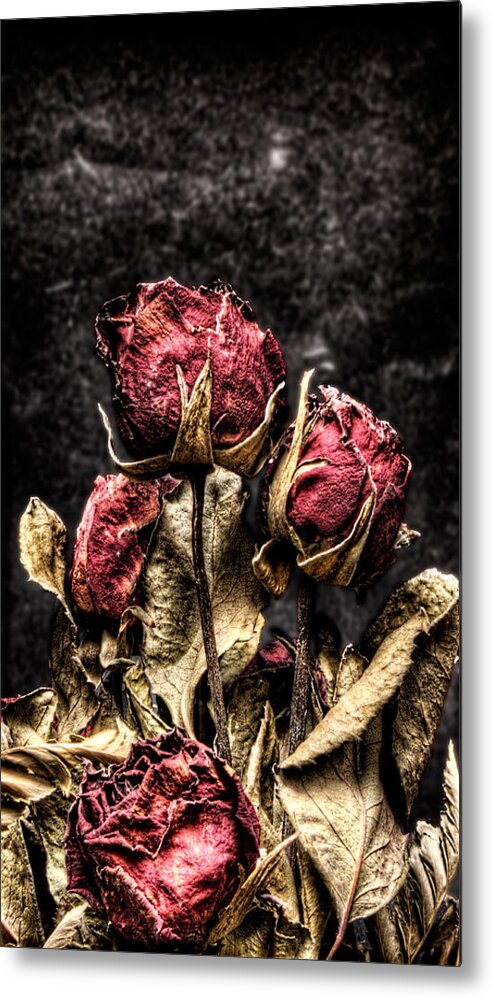 Dry Roses Metal Print featuring the photograph Dry Roses In Black by Weston Westmoreland