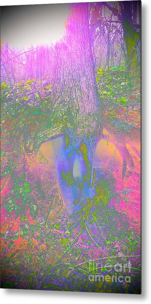 Tree Metal Print featuring the photograph Fairy Tree by Karen Newell