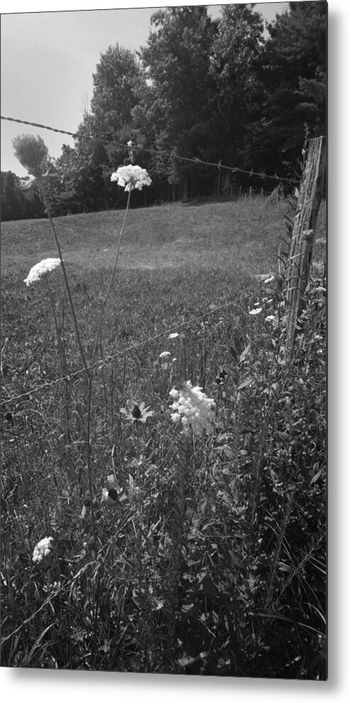 Kelly Hazel Metal Print featuring the photograph Flowers by a Barbed Wire Fence by Kelly Hazel