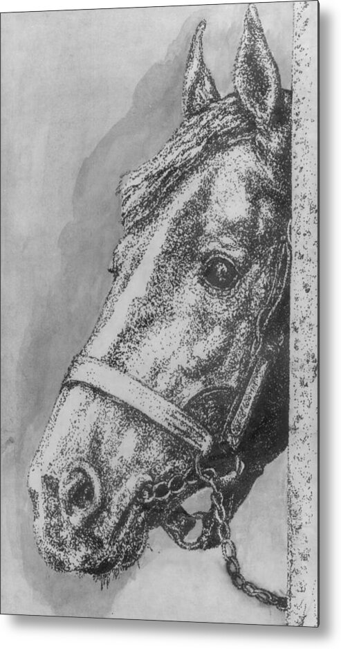 Horse Metal Print featuring the drawing Horse by Bryan Bustard