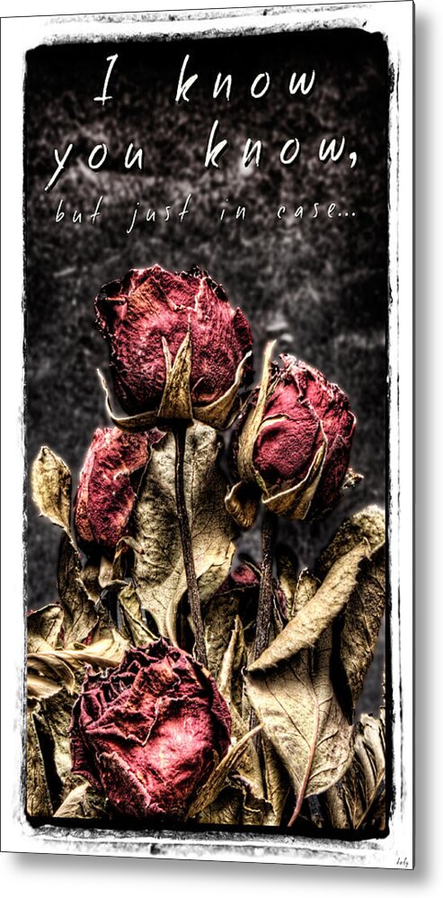 Valentine Metal Print featuring the photograph I know you know by Weston Westmoreland