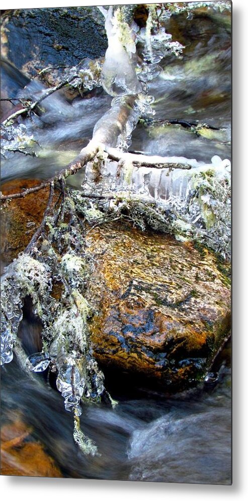 Ice Metal Print featuring the photograph Ice Ornaments by Carol Montoya