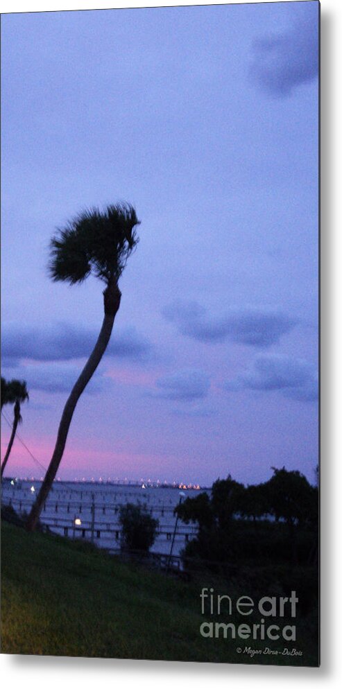 Boat Docks Metal Print featuring the photograph Looking North1 by Megan Dirsa-DuBois