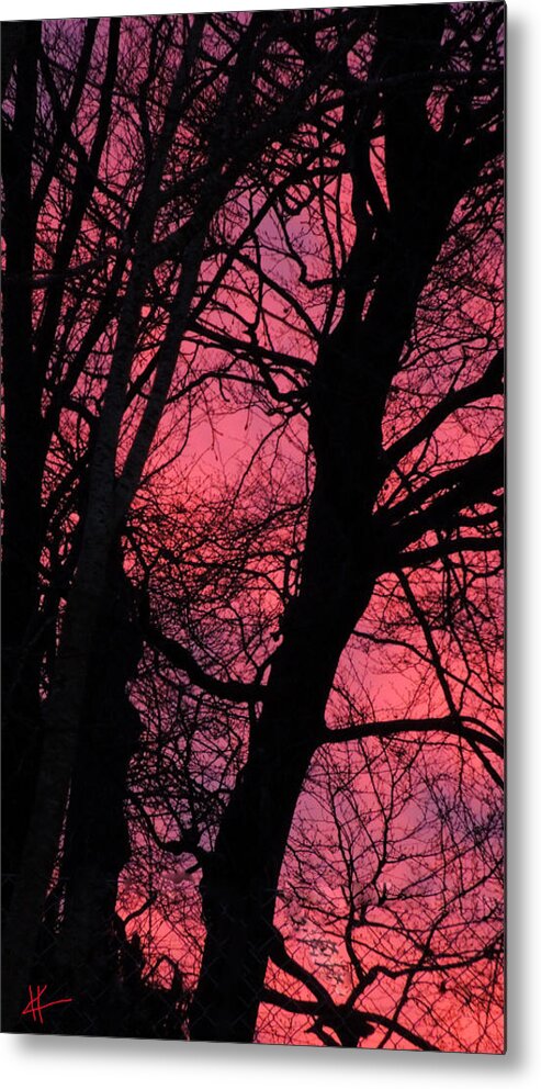Colette Metal Print featuring the photograph Magic Sunset by Colette V Hera Guggenheim