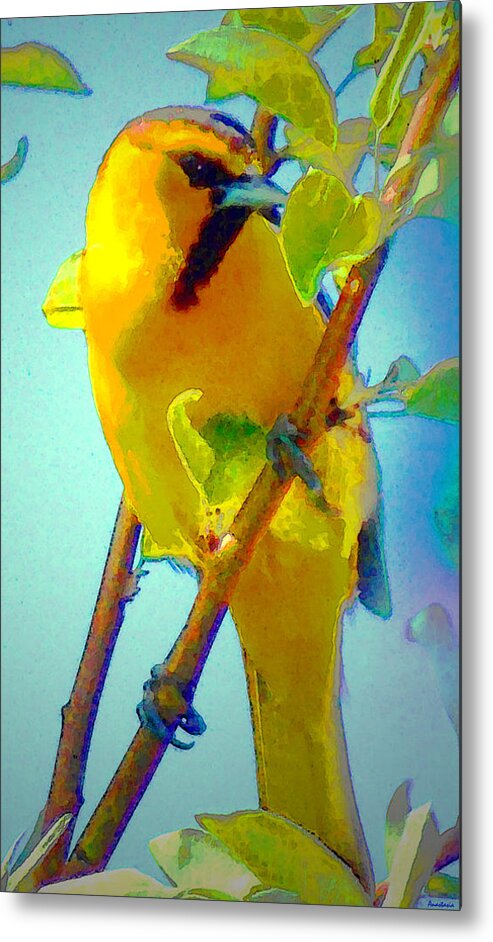 Bullock's Oriole Metal Print featuring the photograph My Garden Oriole I by Anastasia Savage Ealy