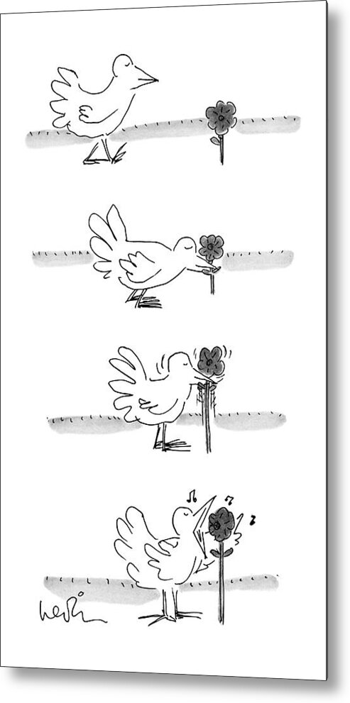 Bird Approaches Flower. Seems To Be Pulling It Out Of The Ground But Just Adjusts It And Sings Into It Like A Microphone. 
Animals Animal Pets Pet Nature Outdoors Environment Music Performance Musical Song Singing Sing Musician Musical Entertainment Bird Birds 70939 Ale Arnie Levin Metal Print featuring the drawing New Yorker August 29th, 1977 by Arnie Levin
