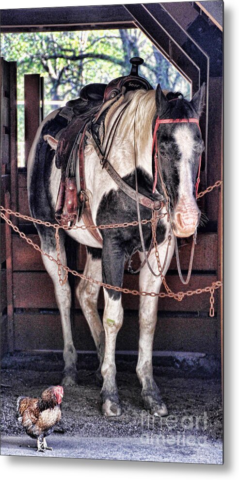 Horse Metal Print featuring the photograph Off the Clock by Elizabeth Winter