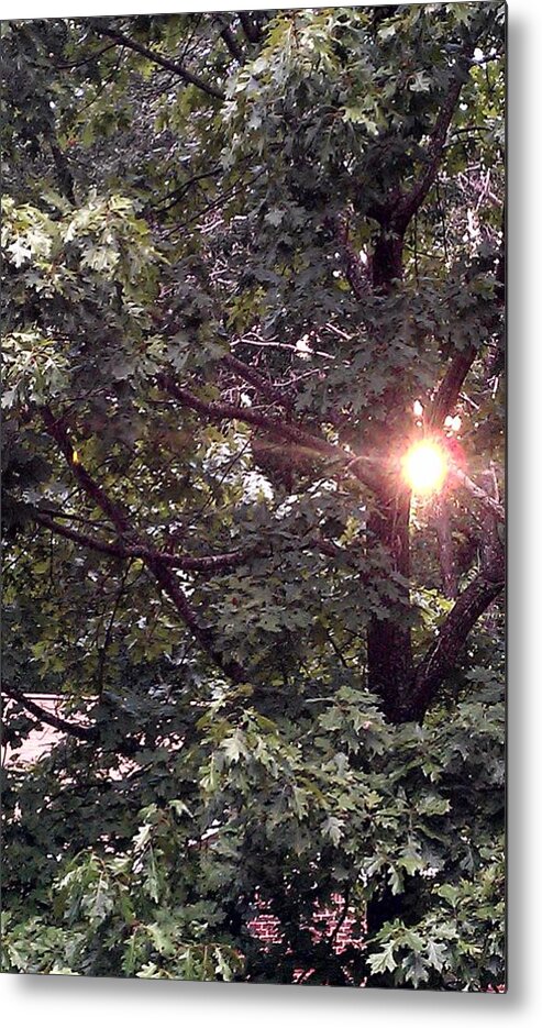 Sun Metal Print featuring the photograph Setting Sun by Kenny Glover