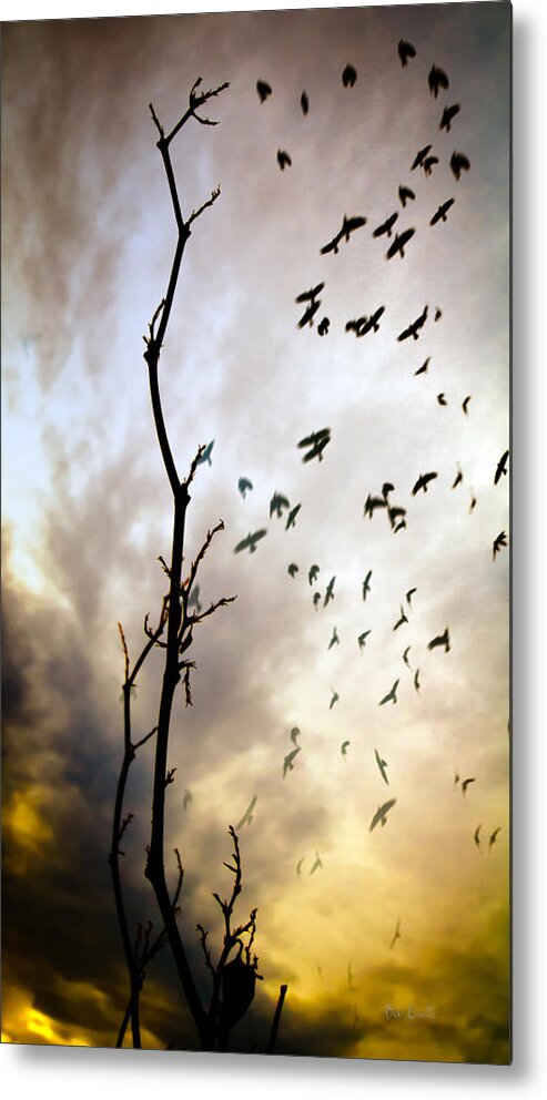 Tree Metal Print featuring the photograph The Gods Laugh When The Winter Crows Fly by Bob Orsillo