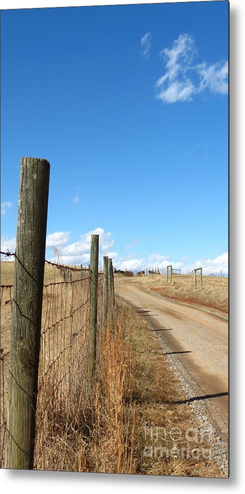 Dirt Road Metal Print featuring the photograph The Road Home by Anita Adams