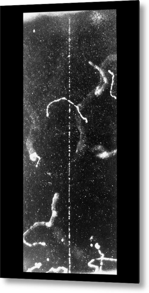 Cloud Chamber Imagery Metal Print featuring the photograph Track Of Fast Beta Ray In Cloud Chamber by C.t.r. Wilson/science Photo Library