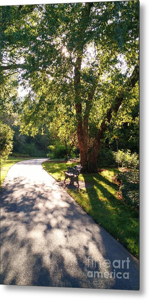 Morning Light Metal Print featuring the photograph Have a Seat #1 by Anita Adams