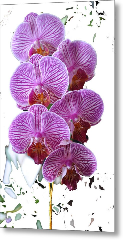 Orchid Metal Print featuring the photograph Artsy Orchid by Vijay Sharon Govender