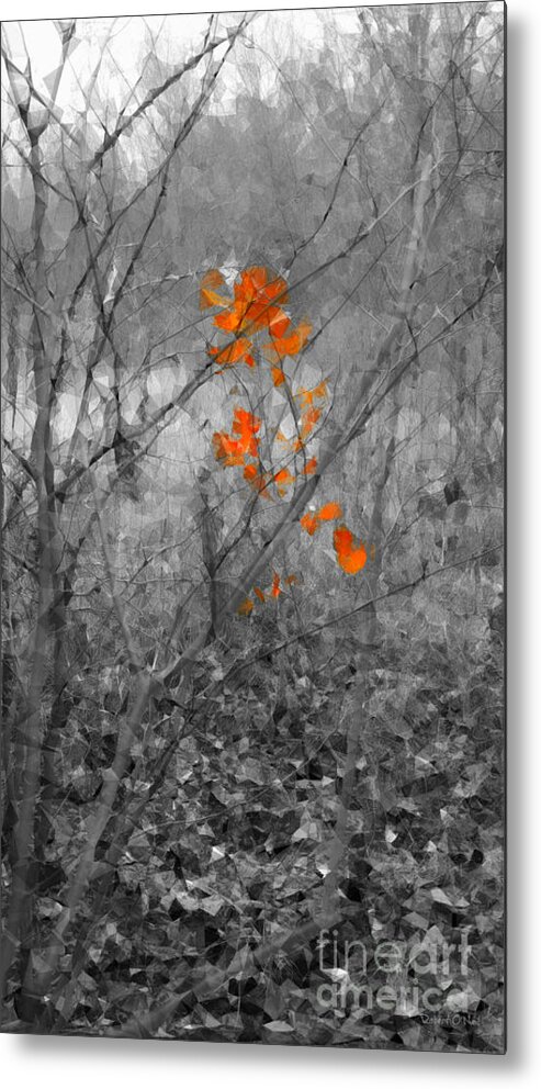 Fall Metal Print featuring the photograph Beauty in Nature SCSG by Robert ONeil