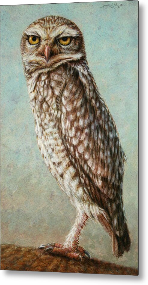 Owl Metal Print featuring the painting Burrowing Owl by James W Johnson