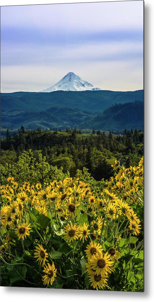 Nature Metal Print featuring the photograph Cascade Spring by Steven Clark