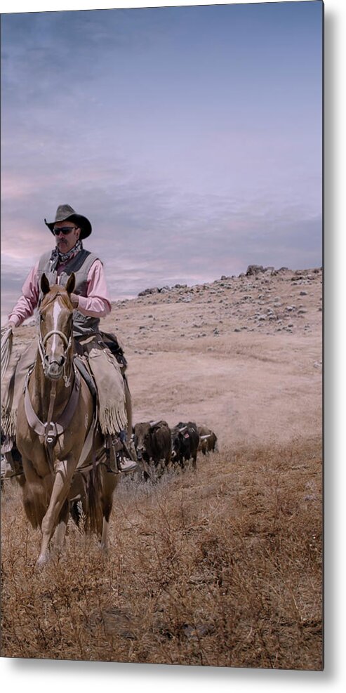 Cattle Metal Print featuring the digital art Cattle Drive Triptych 3 by Rick Mosher