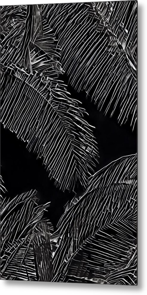 #flowersofaloha #blackandwhite #coconutpalms Metal Print featuring the photograph Coconut Palms in Black and White by Joalene Young