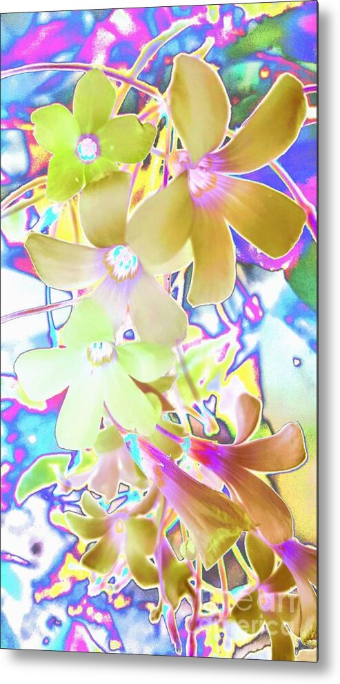 Abstract Metal Print featuring the photograph Dainty Bloosoms by Rachel Hannah