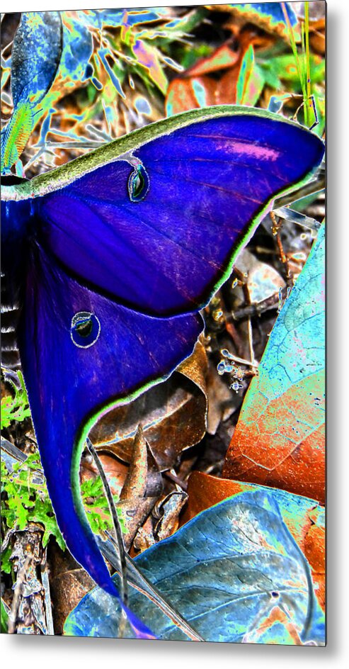 Luna Moth Metal Print featuring the photograph Luna Moth false color work one by David Lee Thompson