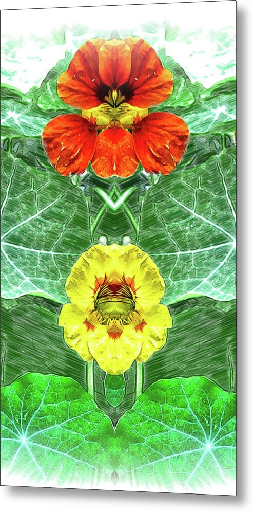 Mirror Image Pareidolia Metal Print featuring the photograph Nasturtium Mirror Image Pareidolia by Constantine Gregory